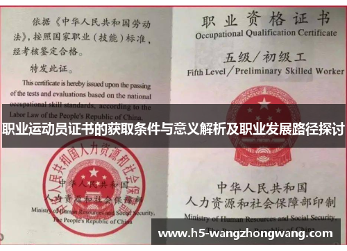 职业运动员证书的获取条件与意义解析及职业发展路径探讨