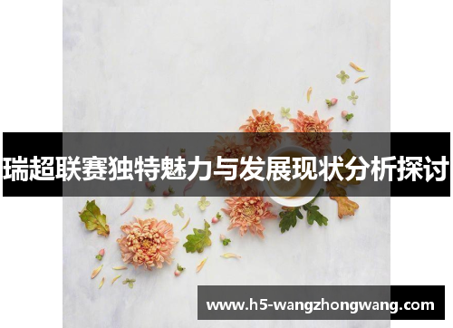 瑞超联赛独特魅力与发展现状分析探讨