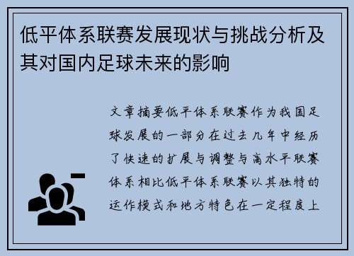 低平体系联赛发展现状与挑战分析及其对国内足球未来的影响
